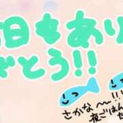 ヒメ日記 2026/04/08 22:43 投稿 てんり プールサイド