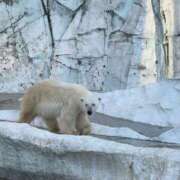 ヒメ日記 2025/12/28 18:45 投稿 りおな クラスメイト