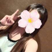 ヒメ日記 2025/04/06 16:01 投稿 初音　みらい ドMな奥様 すすきの店