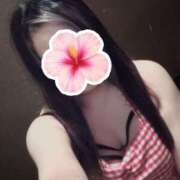 ヒメ日記 2025/06/15 13:06 投稿 初音　みらい ドMな奥様 すすきの店