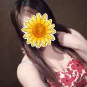 ヒメ日記 2025/08/11 16:31 投稿 初音　みらい ドMな奥様 すすきの店