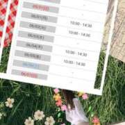ヒメ日記 2026/05/30 09:08 投稿 野々村すずね 月の真珠-新宿-
