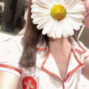 ヒメ日記 2025/06/12 13:30 投稿 かれん 熟女の風俗最終章 相模原店