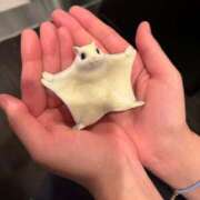 ヒメ日記 2024/12/14 23:57 投稿 わかな エデンR