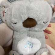 ヒメ日記 2024/12/18 06:22 投稿 わかな エデンR