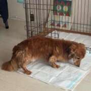 ヒメ日記 2025/03/05 17:47 投稿 わかな エデンR