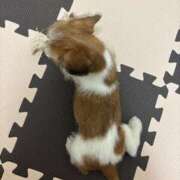 ヒメ日記 2025/05/21 12:31 投稿 わかな エデンR