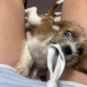 ヒメ日記 2025/05/21 18:27 投稿 わかな エデンR