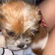 ヒメ日記 2025/05/22 02:37 投稿 わかな エデンR