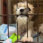 ヒメ日記 2025/05/26 08:19 投稿 わかな エデンR