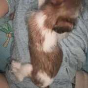 ヒメ日記 2025/06/14 05:47 投稿 わかな エデンR