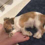 ヒメ日記 2025/06/18 08:34 投稿 わかな エデンR