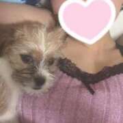 ヒメ日記 2025/06/21 14:07 投稿 わかな エデンR