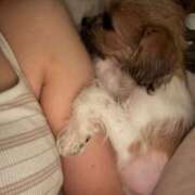 ヒメ日記 2025/07/07 08:49 投稿 わかな エデンR