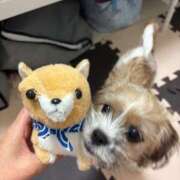 ヒメ日記 2025/07/16 06:15 投稿 わかな エデンR