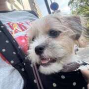 ヒメ日記 2025/08/07 18:27 投稿 わかな エデンR