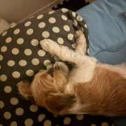 ヒメ日記 2025/08/09 17:57 投稿 わかな エデンR