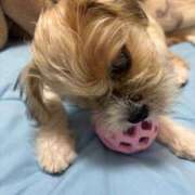 ヒメ日記 2025/08/12 14:57 投稿 わかな エデンR