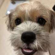 ヒメ日記 2025/08/19 00:27 投稿 わかな エデンR