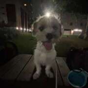 ヒメ日記 2025/08/25 06:07 投稿 わかな エデンR