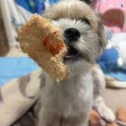 ヒメ日記 2025/08/27 15:07 投稿 わかな エデンR