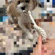 ヒメ日記 2025/08/28 14:09 投稿 わかな エデンR