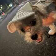 ヒメ日記 2025/08/30 12:56 投稿 わかな エデンR