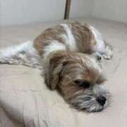 ヒメ日記 2025/09/06 07:23 投稿 わかな エデンR