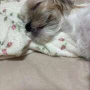 ヒメ日記 2025/09/08 18:27 投稿 わかな エデンR