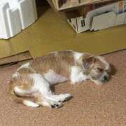 ヒメ日記 2025/09/11 10:47 投稿 わかな エデンR