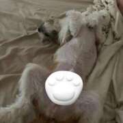 ヒメ日記 2025/10/01 00:47 投稿 わかな エデンR