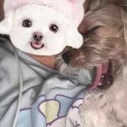 ヒメ日記 2025/10/03 05:09 投稿 わかな エデンR