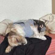 ヒメ日記 2025/10/06 05:29 投稿 わかな エデンR