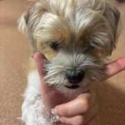 ヒメ日記 2025/10/13 10:32 投稿 わかな エデンR