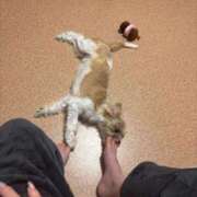 ヒメ日記 2025/10/22 06:29 投稿 わかな エデンR