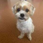 ヒメ日記 2025/10/28 06:11 投稿 わかな エデンR