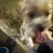 ヒメ日記 2025/10/29 16:09 投稿 わかな エデンR