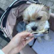 ヒメ日記 2025/11/04 08:21 投稿 わかな エデンR