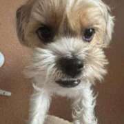 ヒメ日記 2025/11/15 06:39 投稿 わかな エデンR