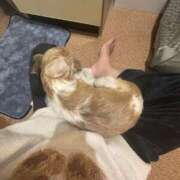 ヒメ日記 2025/11/18 07:36 投稿 わかな エデンR