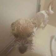 ヒメ日記 2025/11/26 08:39 投稿 わかな エデンR