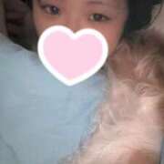 ヒメ日記 2025/11/29 05:42 投稿 わかな エデンR