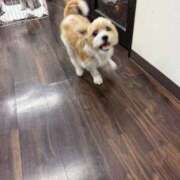 ヒメ日記 2025/12/01 06:19 投稿 わかな エデンR