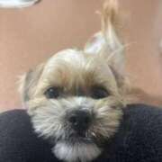 ヒメ日記 2025/12/19 06:48 投稿 わかな エデンR