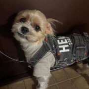 ヒメ日記 2026/01/23 20:29 投稿 わかな エデンR