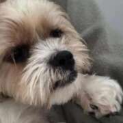 ヒメ日記 2026/02/16 05:27 投稿 わかな エデンR