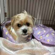 ヒメ日記 2026/03/02 23:29 投稿 わかな エデンR