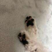 ヒメ日記 2026/03/10 06:29 投稿 わかな エデンR