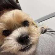 ヒメ日記 2026/03/14 05:39 投稿 わかな エデンR