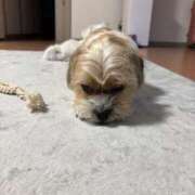 ヒメ日記 2026/03/17 07:39 投稿 わかな エデンR